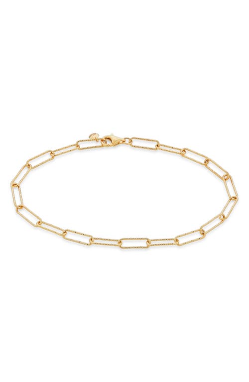 Monica Vinader Alta Textured Chain Link Bracelet in Yellow Gold at Nordstrom
