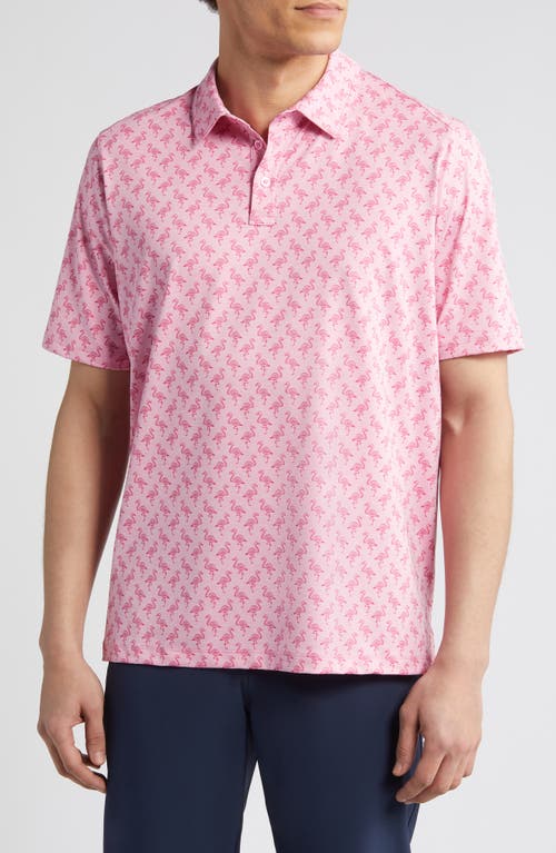 XC4 Flamingo Print Performance Golf Polo in Pink