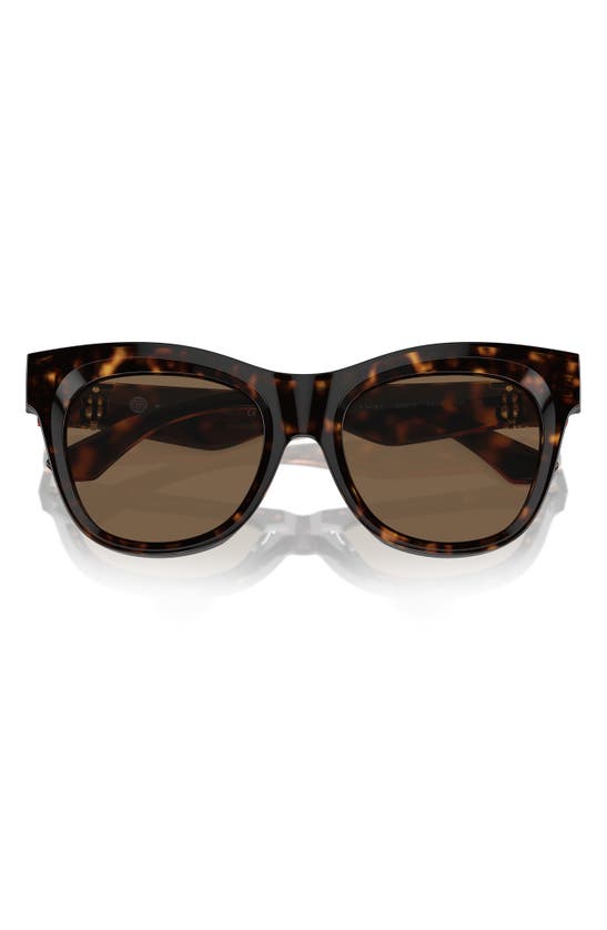 Shop Burberry Evolution 54mm Cat Eye Sunglasses In Dark Havana