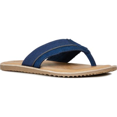 Geox Artie 17 Flip Flop, Blue