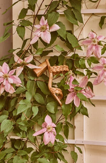 Paily Braided Sandal