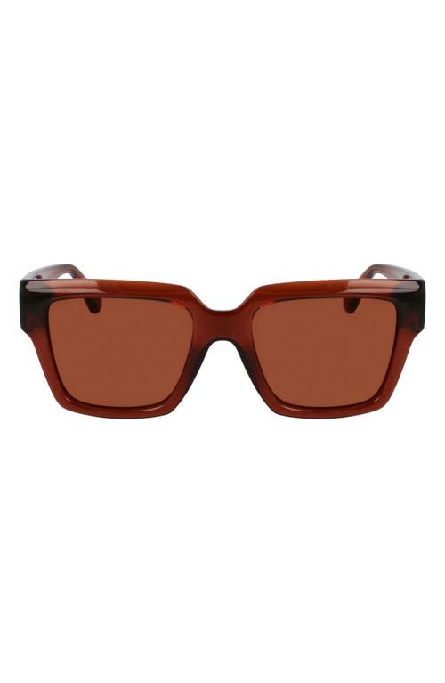 Ferragamo Gancini Acetate Square Sunglasses In Transparent Brown