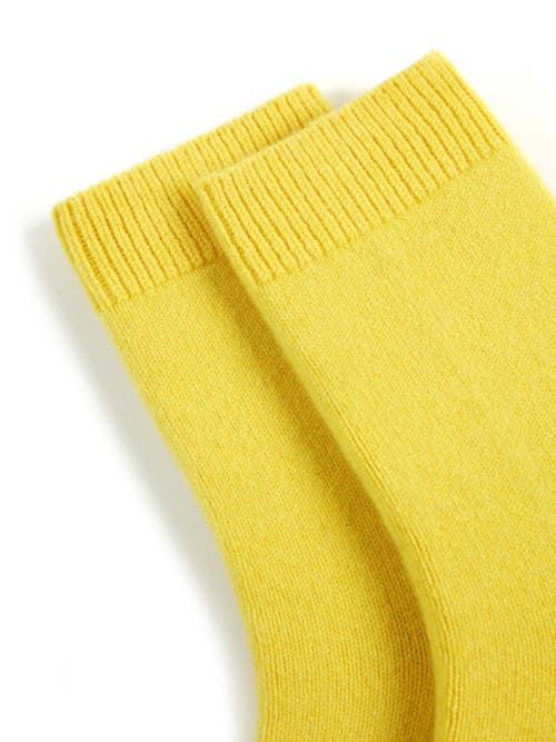 Gobi Cashmere Basic Socks In Citronelle