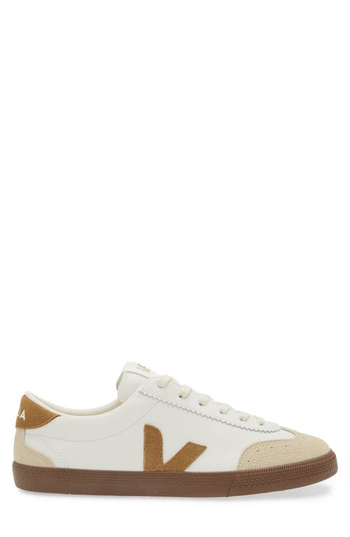 Veja Volley Suede-trimmed O.t. Leather Sneakers In White Tent Bark