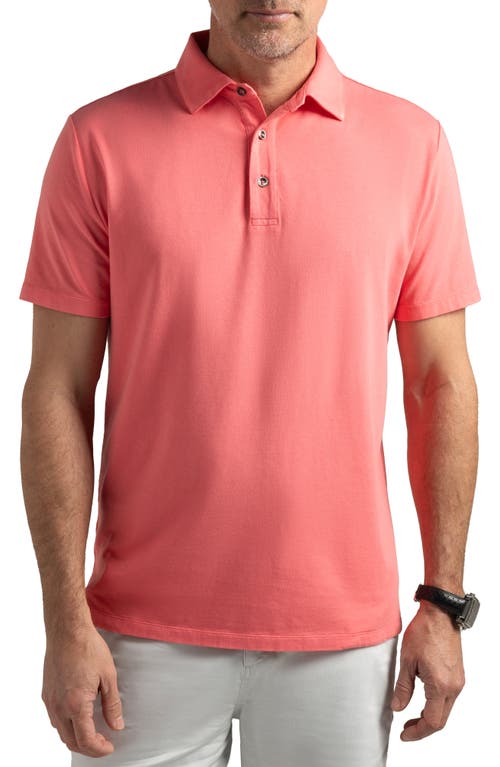 Pinehurst Classic Fit Cotton Blend Golf Polo in Cayenne