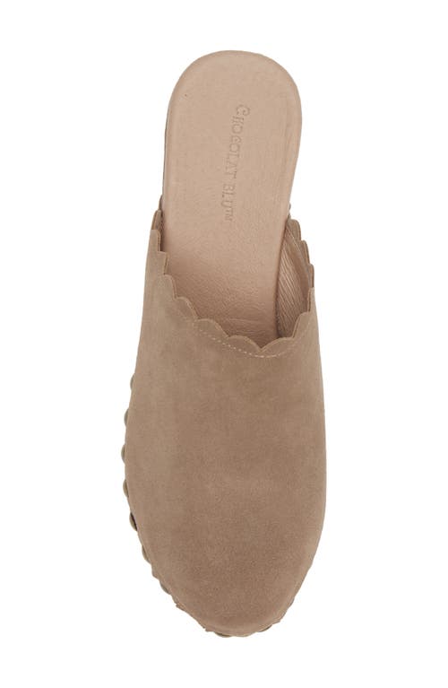 Shop Chocolat Blu Gemini Platform Clog In Taupe Suede