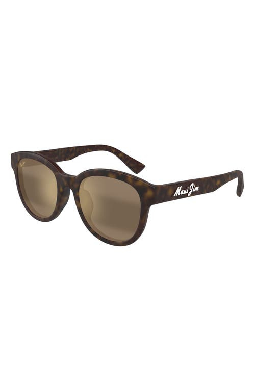 MAUI JIM MAUI JIM IHUPANI AF 53MM POLARIZEDPLUS2® ROUND SUNGLASSES 