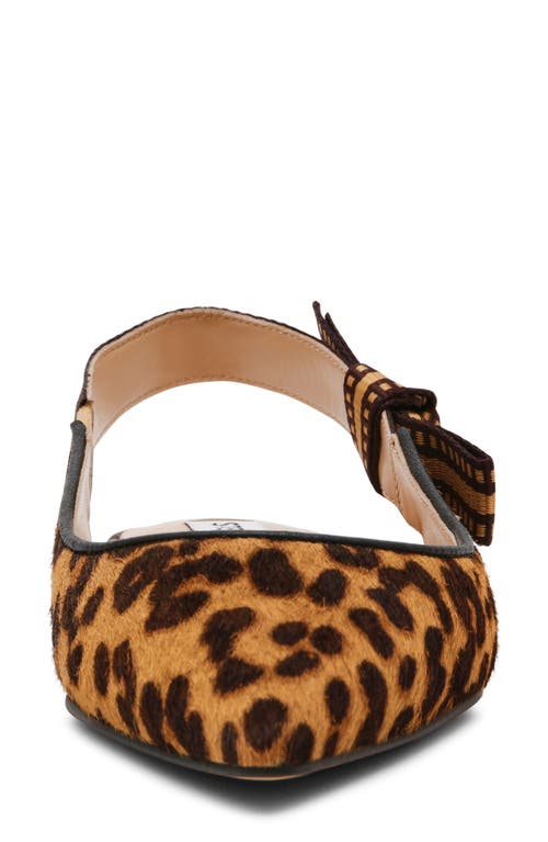 Shop Steve Madden Olsen Slingback Genuine Calf Hair Pointed Toe Flat In Leopard/tan