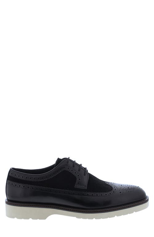 Penny Lane Compton Wingtip Derby In Black