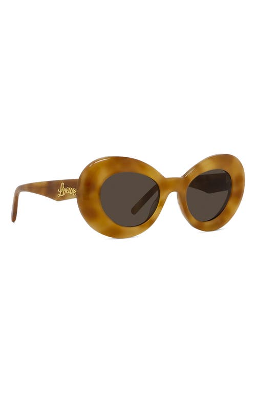 Shop Loewe Curvy 53mm Small Butterfly Sunglasses In Blonde Havana/brown