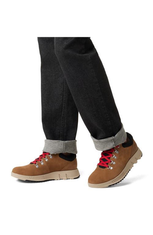 Sorel Men's Mac Hill Lite Hiker Low Waterproof Lace-up Sneakers In Elk/black