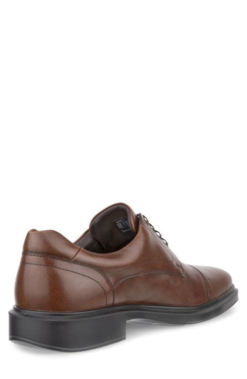 Shop Ecco Helsinki 2.0 Cap Toe Derby In Potting Soil