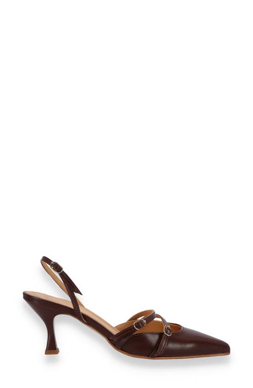 Shop Alohas Joelle Slingback Pointed Toe Pump In Brown