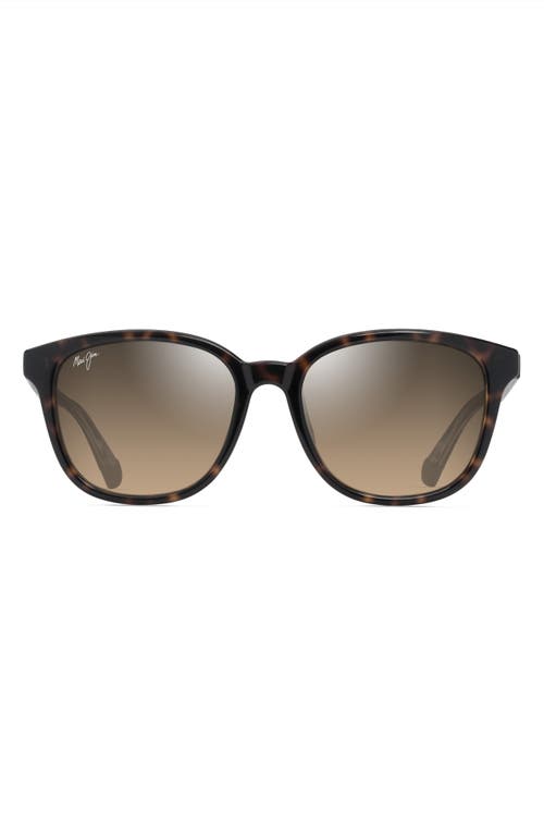 Maui Jim Kuikahi 55mm Gradient PolarizedPlus2 Square Sunglasses in Shiny Dark Havana W/trans Yllw at Nordstrom