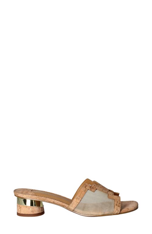 Shop J. Reneé J.renée Amorra Slide Sandal In Natural/gold