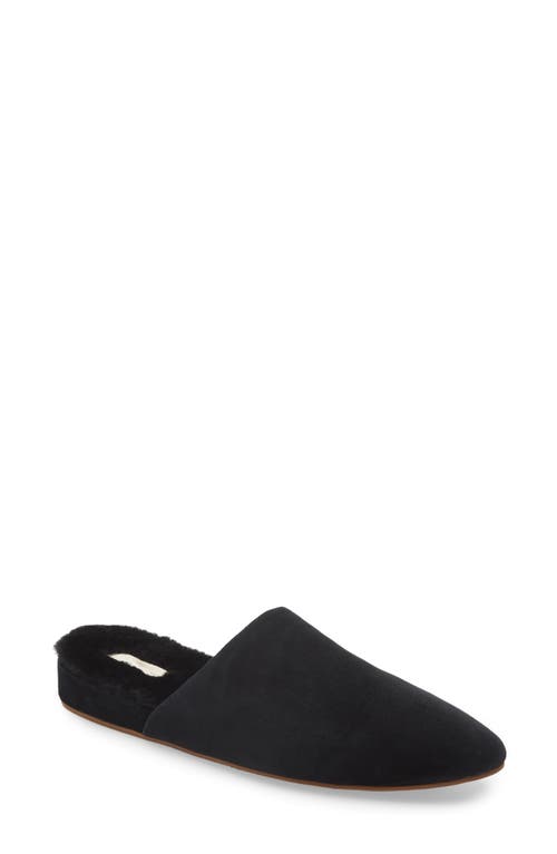 Madewell The Kasey Genuine Shearling Mule in True Black at Nordstrom, Size 5