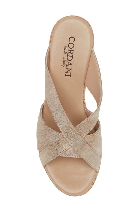 Cordani Devon Platform Wedge Sandal In Granito Corda