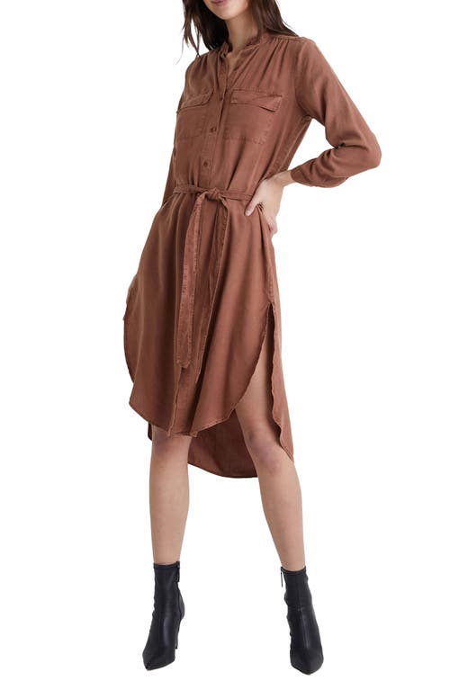 Bella Dahl Long Sleeve Tencel® Lyocell Shirtdress in Amber Brown