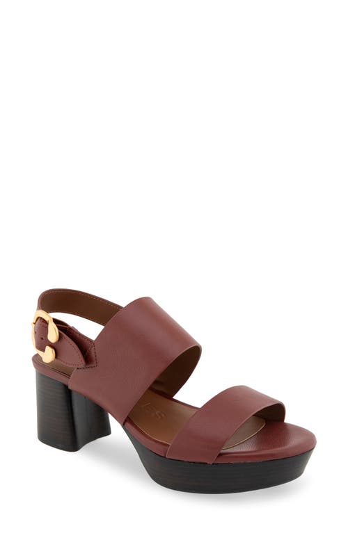 Shop Aerosoles Camera Platform Sandal In Clay Combo Leather