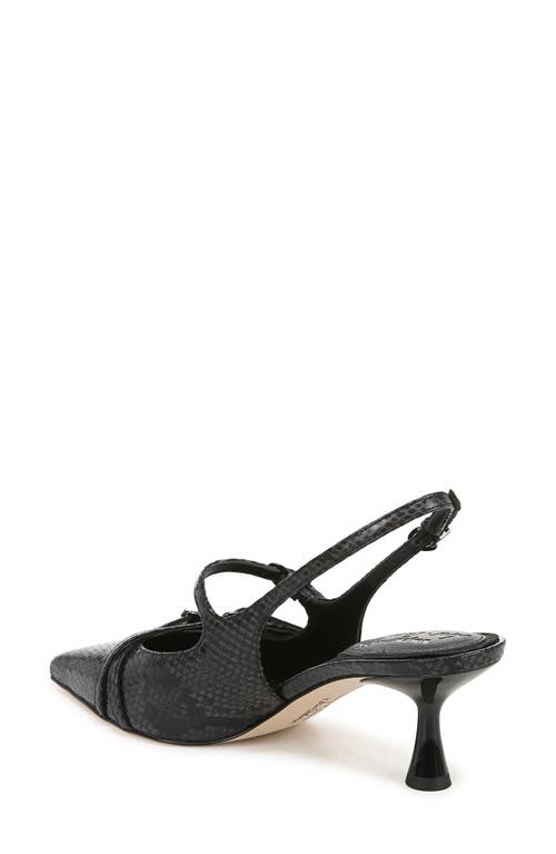 Circus Ny By Sam Edelman Fraya Slingback Pointed Toe Pump In Black