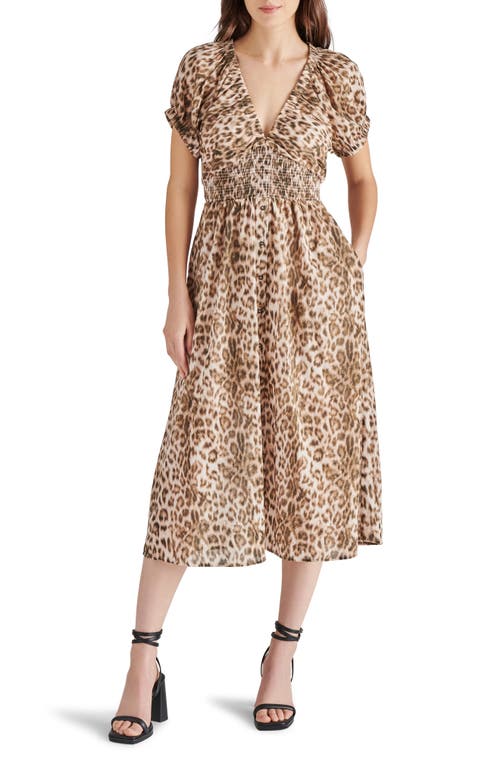 Steve Madden Tahlia Animal Print Midi Dress Leopard at Nordstrom,