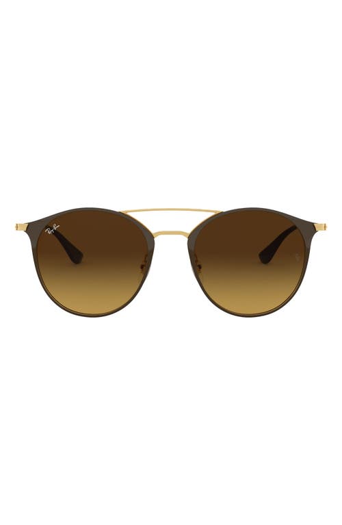 Ray Ban Ray-ban 52mm Round Sunglasses In Brown/gold