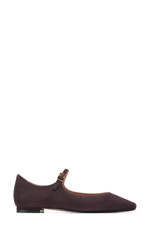 Shop Cole Haan Bridge Mary Jane Ballet Flat In Dark Chocolate Suede