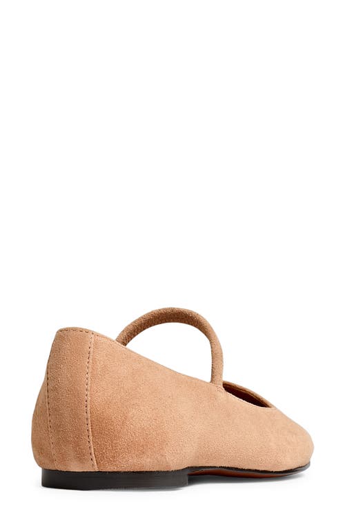 Madewell The Greta Ballet Flat In Warm Sand