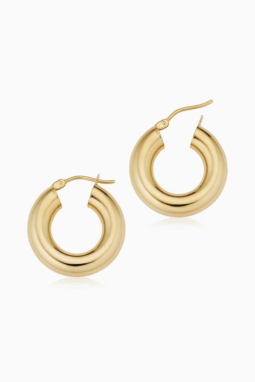 Oradina 14k Gold Everything Bold Midi Hoops In Yellow Gold