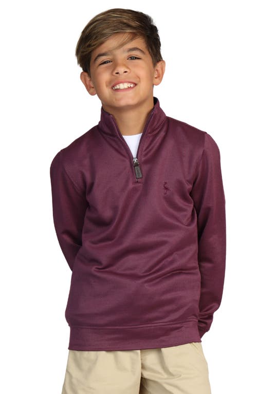 Tailorbyrd Kids' Quarter Zip Pullover In Purple
