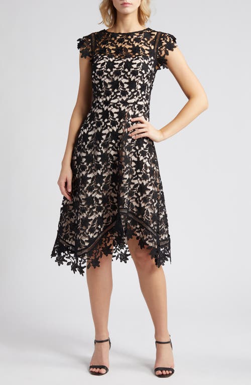 Lace Asymmetric Cocktail Dress in Black Natural