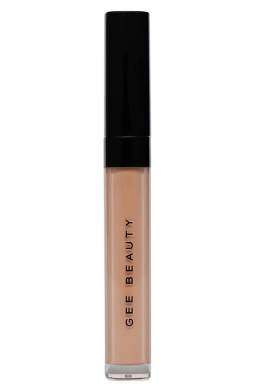 Shop Gee Beauty Brightening Concealer In 3