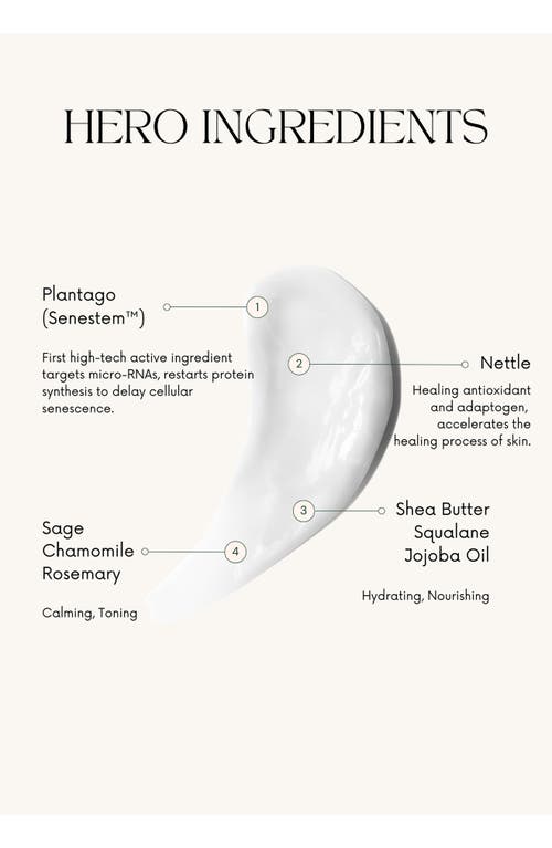 Senself Rich But Light Moisturizer In No Color