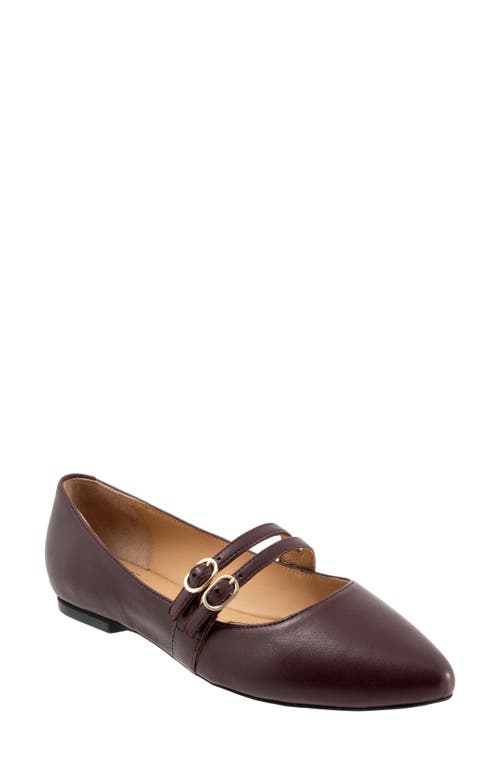 Shop Trotters Emerald Pointed Toe Mary Jane Flat In Oxblood