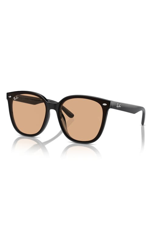 Ray Ban 66mm Oversize Irregular Sunglasses In Black/brown