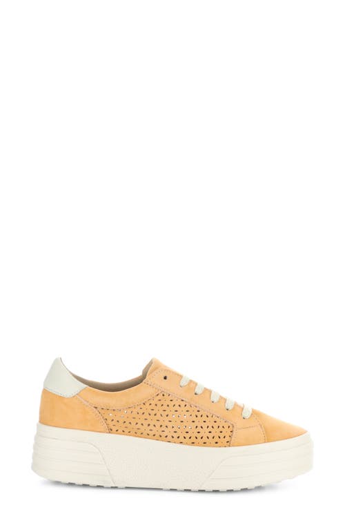 Shop Bos. & Co. Lotta Platform Sneaker In Tangerette/marfil