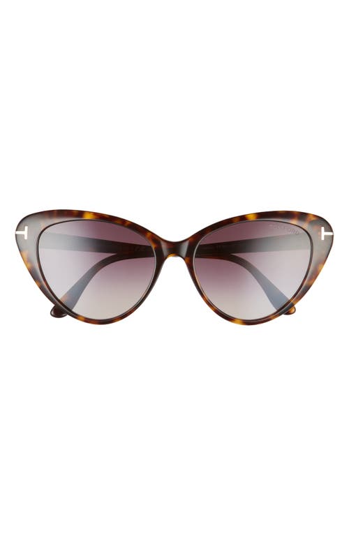 Shop Tom Ford Harlow 56mm Gradient Cat Eye Sunglasses In Dark Havana/gradient Burgundy