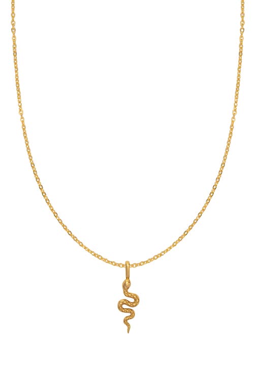 MADE BY MARY Snake Pendant Necklace in Gold at Nordstrom