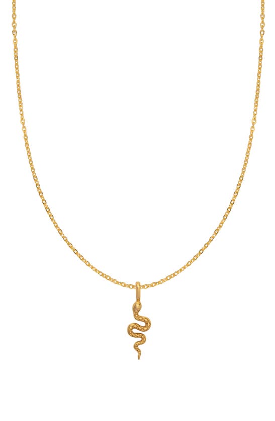 Shop Made By Mary Snake Pendant Necklace In Gold