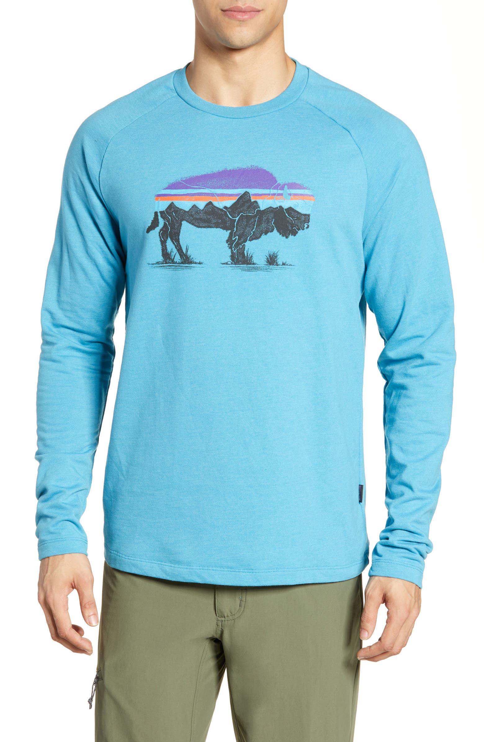 Patagonia Fitz Roy Bison Logo Sweatshirt | Nordstrom
