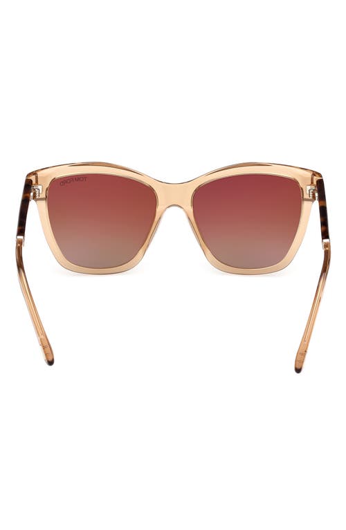 Shop Tom Ford Lucia 54mm Gradient Square Sunglasses In Beige Vintage Havana/brown