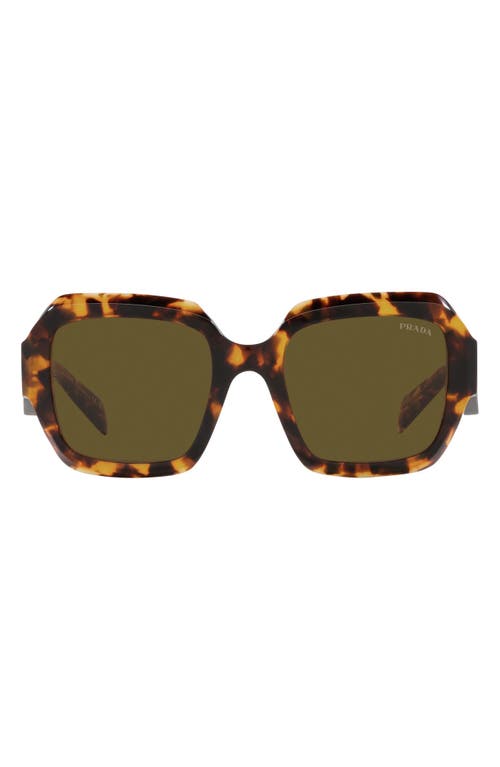 Prada 53mm Irregular Sunglasses in Dark Brown at Nordstrom
