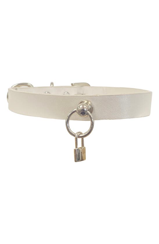 Shop Dogs Of Glamour Ryan Lock Collar In Silver