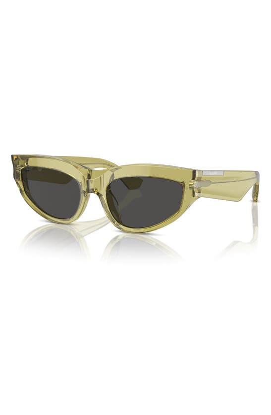 Shop Burberry 55mm Cat Eye Sunglasses In Green
