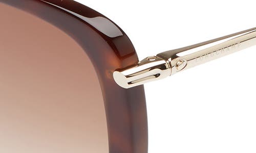 Longchamp 56mm Gradient Lens Butterfly Sunglasses In Blonde Havana