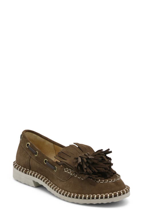 Shop Charles David Poppy Kiltie Fringe Loafer In Dark Tan