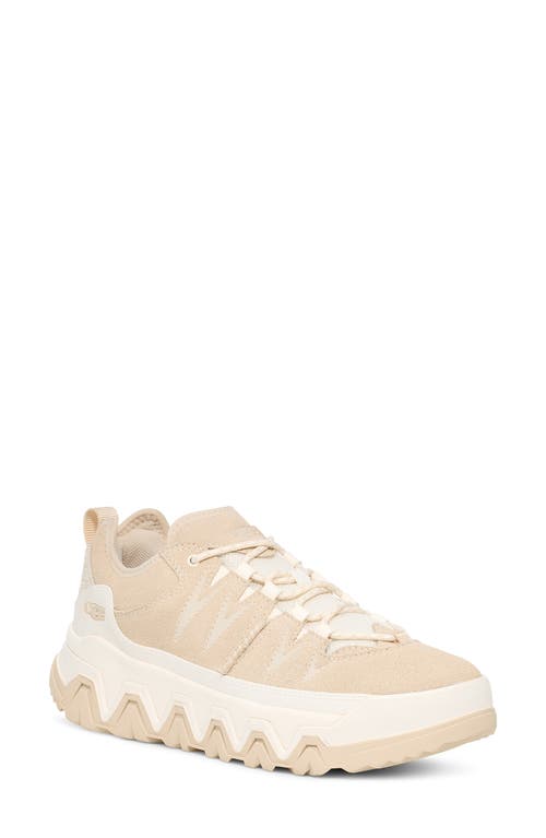 Shop Ugg(r) Captrail Low Sneaker In Light Beige