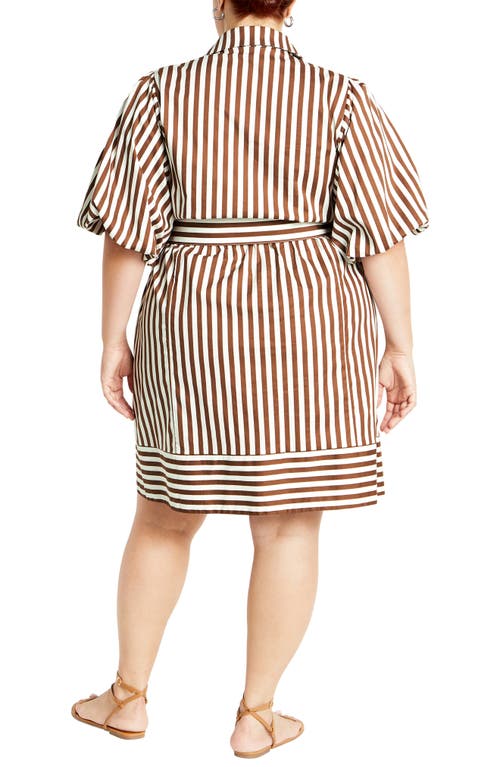 Shop City Chic May Stripe Stretch Poplin Shirtdress In Tabacco Stripe