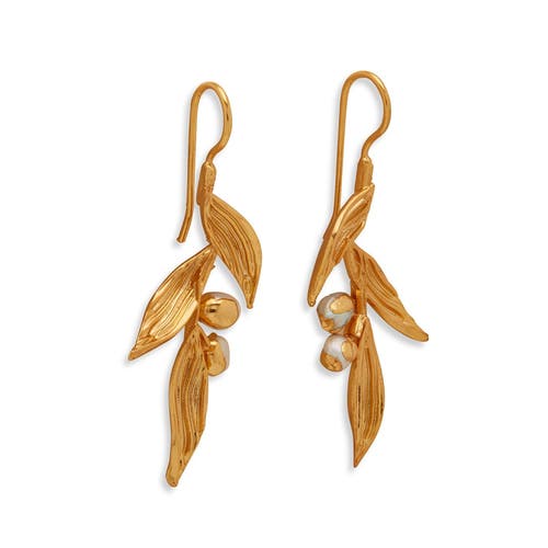 Dhwani Bhansal Haya Earrings In Gold Plated