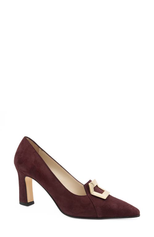 Amalfi by Rangoni Istrice Pointed Toe Pump Cashmere at Nordstrom,